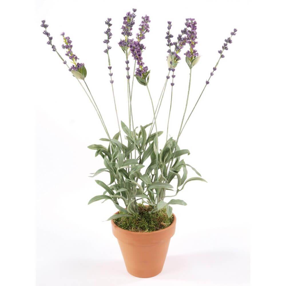 Floralsilk Faux Lavender in Terracotta Pot 47cm